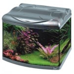 Аквариум Hailea B50 + 3 ПОДАРЪКА