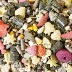 Здравословна храна за морски свинчета