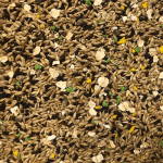 Пълноценна храна за канар