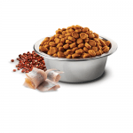 N&D QUINOA SKIN & COAT- Пълноценна храна с киноа за кучета в зряла възраст над 1г. за всички породи при чувствителен стомах, за здрава кожа и козина- с херинга, кокос и кукума- три разфасовки