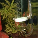 Малък CO2 дифузор за нано-сладководни аквариуми JBL ProFlora Taifun P Nano 2