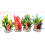 Растение Amfora Large 11см - различни цветове от Sydeco, Франция