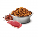 N&D QUINOA URINARY с патешко месо - Пълноценна храна за котки в зряла възраст с патешко месо, киноа, червена боровинка и лайка. За възстановяване на здравето на уринарния тракт и предпазване от струвитни и оксалатни камъни - две разфасовки