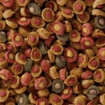 sera Koi All Seasons Probiotic - храна с пробиотични бактерии, подходяща за хранене на Кои над 15 см през цялата година при температура на водата над 8°C - две разфасовки