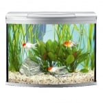 "Tetra AquaArt" - Напълно окомплектован аквариум - 130 л.