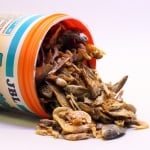 JBL Energil 1l - Натурални рибки и скариди за малки и средни костенурки