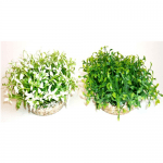 Растение Water Ball Maxi 18см от Sydeco, Франция