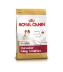 Royal Canin Cavalier King Sharles Junior  1.500кг