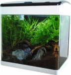 Аквариум NT-32л. - четири цвята
