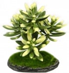 Aqua Nova REP17015  Изкуствено растение 15см 