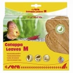 Sera Cattapa Leaves, листа от индийски бадем