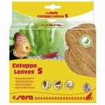 Sera Cattapa Leaves, листа от индийски бадем