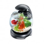 Tetra Cascade Globe, Бетариум, Черен, 6.8 л