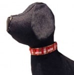 Нашийник за кучета, Croci, цветни, с блясък, 1,5 x 35 см