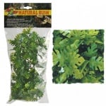 Терариумно растение Zoo-Med - филодендрон