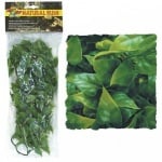 Терариумно растение Zoo-Med - мексиканска лиана