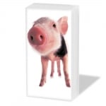 Кърпичка за нос SNIFF, пак. 10 бр