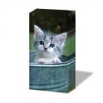 Кърпичка за нос SNIFF, пак. 10 бр