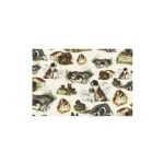 Декупажна хартия с мотиви, 40 g/m2, 50 x 70 cm, 1л, Кученца 1