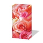 Кърпичка за нос SNIFF, пак.10 бр.