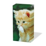 Кърпичка за нос SNIFF, пак.10 бр.