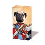 Кърпичка за нос SNIFF, пак.10 бр.