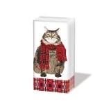  Кърпичка за нос SNIFF, пак.10 бр.