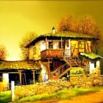 Креативен комплект Oil painting “The best friend“