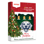 Wanpy Christmas Calendar 150 g - коледен календар с лакомства асорти с пилешко, говеждо, патица