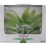 Растение за аквариум амазонка