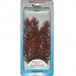 Tetra Red Foxtail - Изкуствено растение в три размера