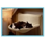 Легло за парно