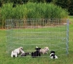 Ограда за бебета