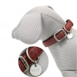 Нашийник Mylord Bordeaux