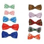 Панделки на шнолка