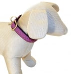 Нашийник Mylord Viola