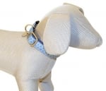 Нашийник Mylord Azzurro