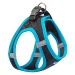 KAORI P M HARNESS BLACK/BLUЕ