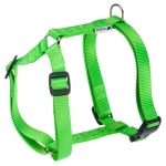 _       CHAMPION P LARGE-HARNESS GREEN