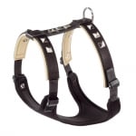 GIOTTO P M HARNESS BLACK LUXOR
