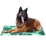 FreeDog Cool Bed Savannah 50x40cm  - охлаждащо легло с пяна - савана 50x40cm