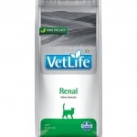 VLN DIET CAT RENAL  400G