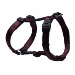 SJ23-E Matterhorn Harness PURPLE medium