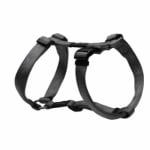 SJ23-L Matterhorn Harness PLATINUM medium