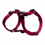 SJ27-K K2 Harness PINK EXLARGE