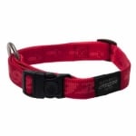 HB21-C KILIMANJARO collar RED