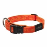 HB23-D MATTERHORN collar ORANGE