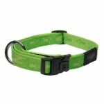 HB27-G EVEREST collar LIME