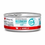 DSG консерва котка RECOVERY агне 85 гр