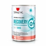 DSG консерва куче RECOVERY сьомга 400 гр